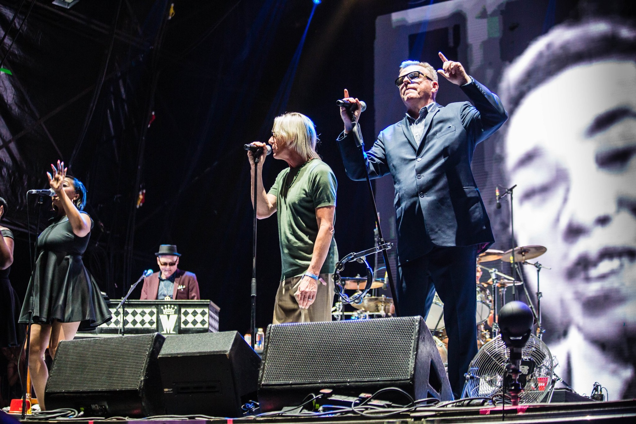 Paul Weller Guest Appearance